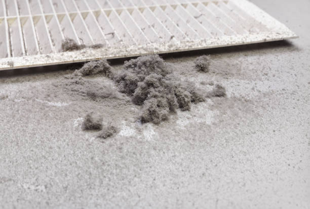 Best HVAC System Cleaning  in Long Creek, IL