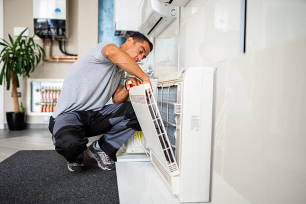Best Air Vent Cleaning Services  in Long Creek, IL