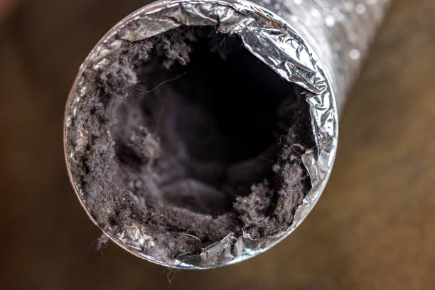 Best Air Duct Cleaning Near Me  in Long Creek, IL