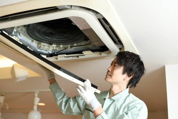 Best Air Vent Cleaning Services  in Long Creek, IL