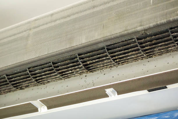 Best Air Duct Cleaning Near Me  in Long Creek, IL